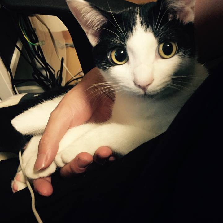 Eb83f620 0a5c 45b0 8b84 842b5ad69492