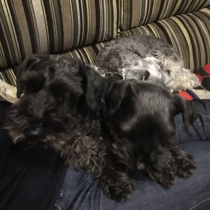 Eb841303 9978 4e80 9fad 819219e1a749