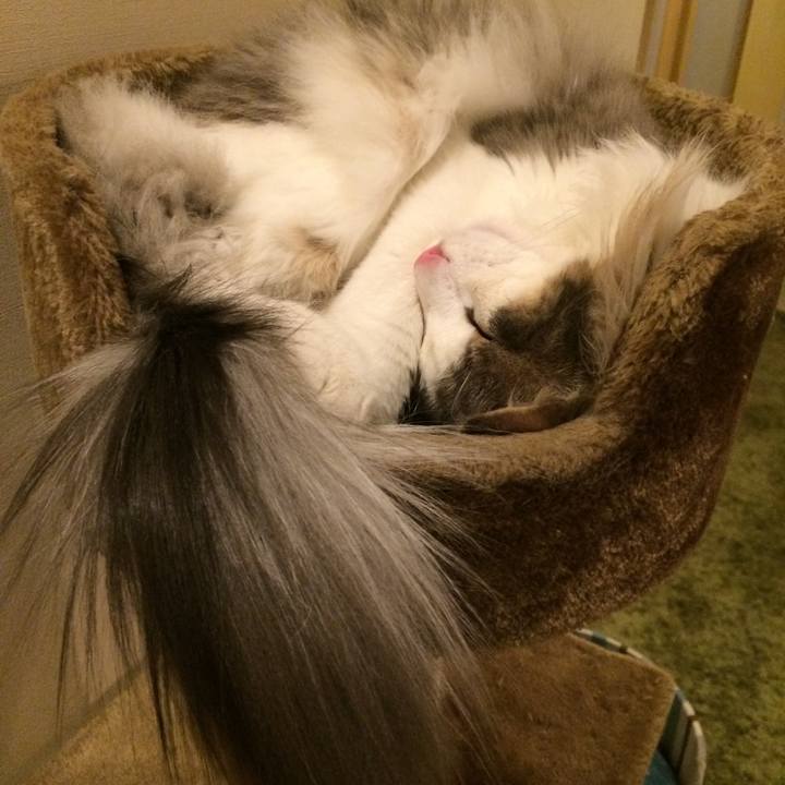 Eb846811 76c2 40a7 b41c affa18c3af67