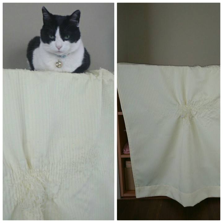 Eb847592 6531 40a0 82f1 c58fd8556c5d