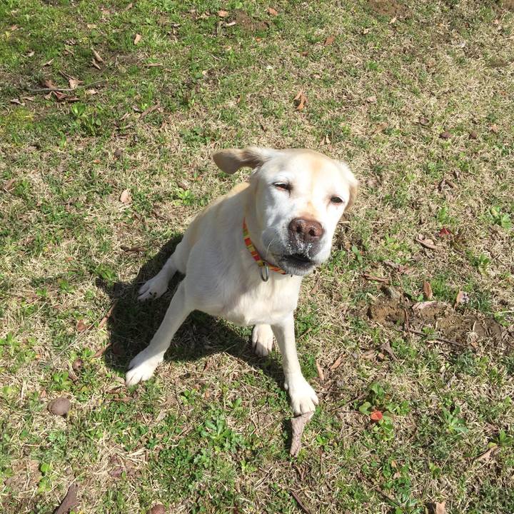 Eb84787a 3b4a 49d0 94b4 37c990b9255b