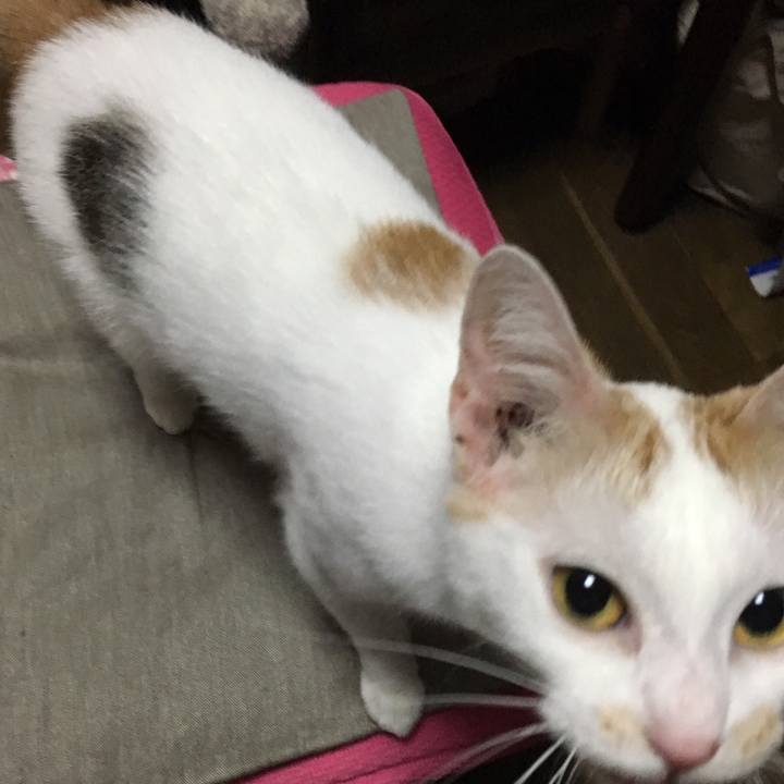 Eb848bcb ea10 4114 9fee 97ee47e2cd58