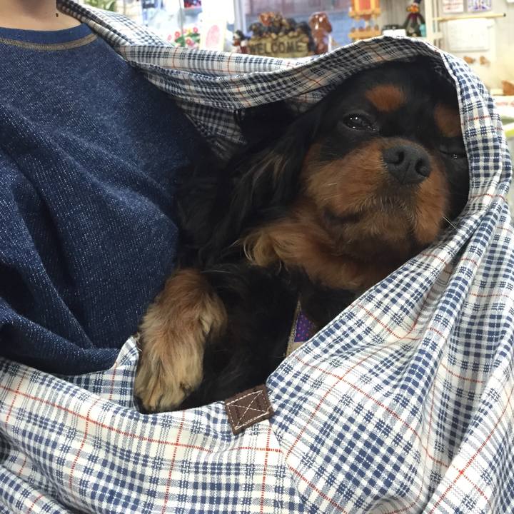 Eb8638e5 469c 4b00 80f1 21d357bbad75