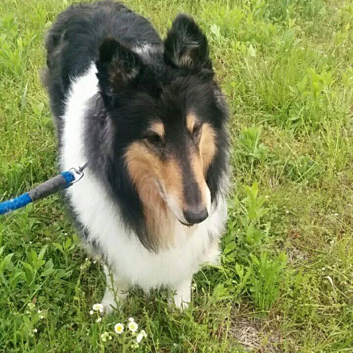 Eb86a545 bdc8 488f 95aa 686a481adfe5