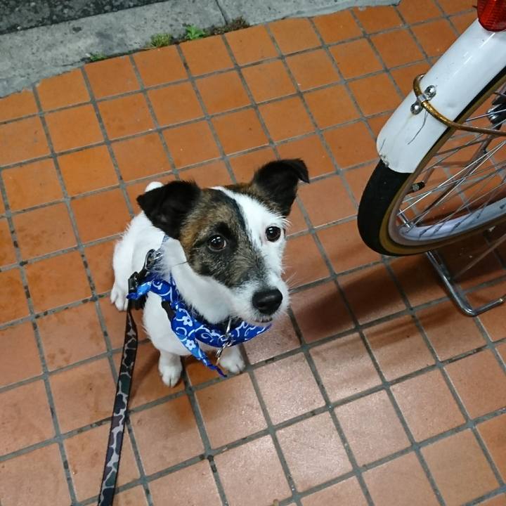 Eb8746fb 0bbb 403c b578 a7505d6147bb