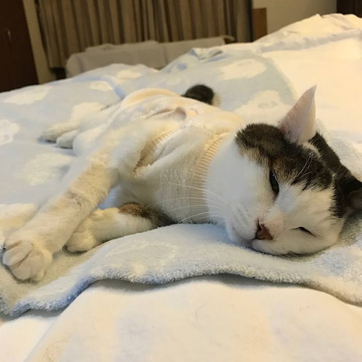 Eb87cbbb 7d36 45f4 ad54 08426afab2e9