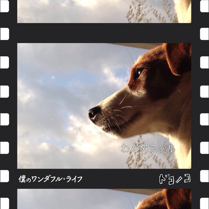 Eb87f063 2e51 41ec a939 f0a0cc364a08