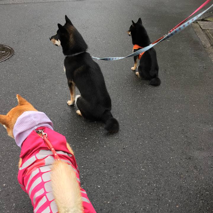 Eb88cefa db4e 4120 85c4 5ed781578c14