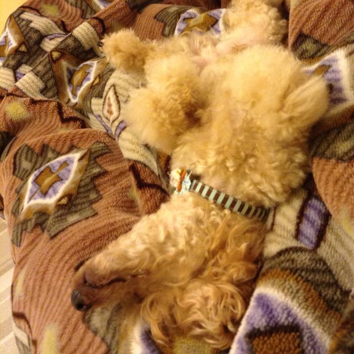 Eb88e272 d492 4ad2 94b2 ed6087e02d6b