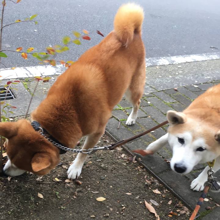 Eb88e684 42aa 4da0 9028 abad6456af4f