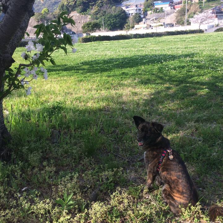 Eb892ac6 aecf 4a26 acca 7d37c60a2fab