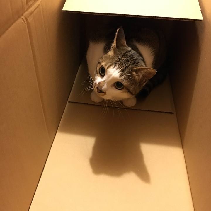 Eb894ae4 da28 4801 9c95 956103556b5f