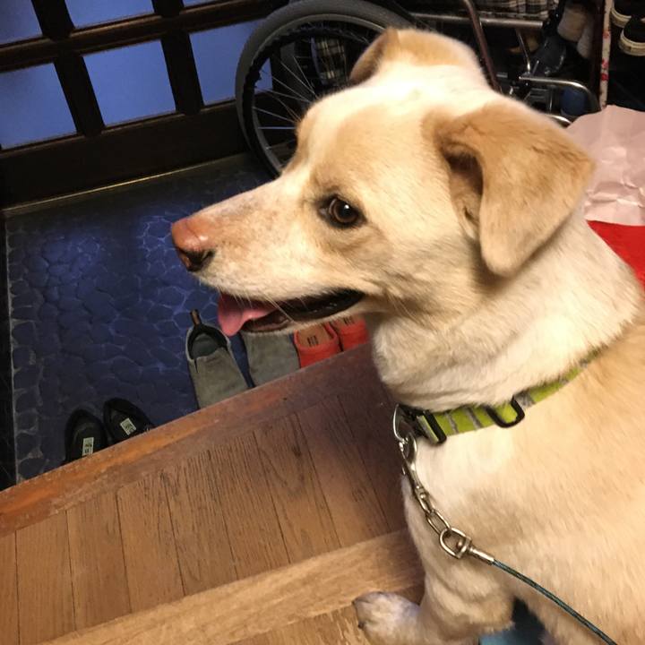 Eb89d2bb 49be 497f bdfd edf09988cc6c