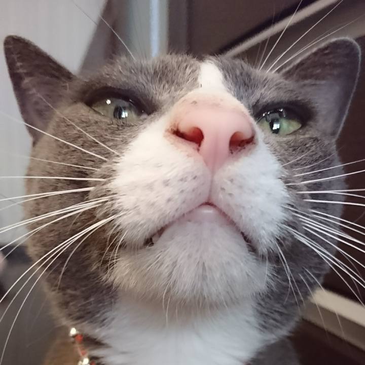 Eb89d2cf 35c4 4fd4 bbbf b3d1b3ea20be