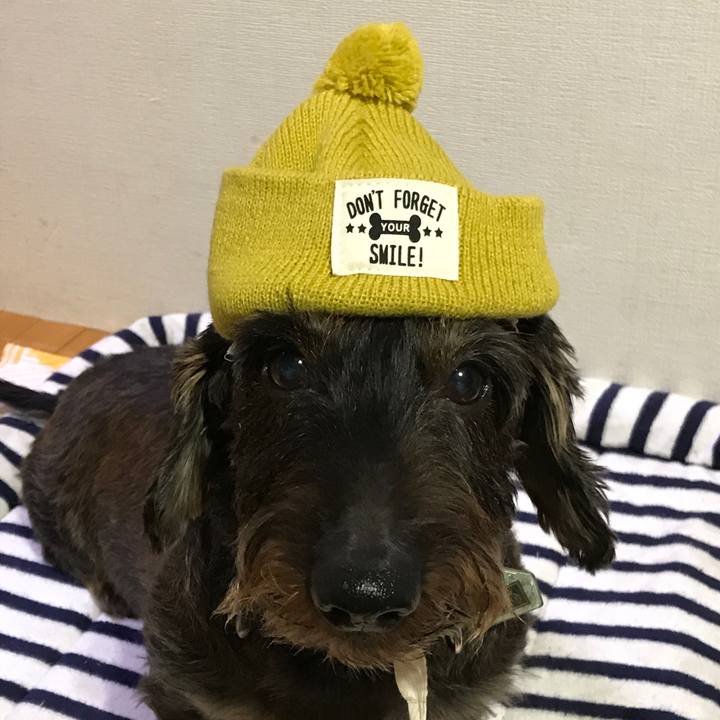 Eb8a1908 5ea5 418f 9924 9b56e8d30e24