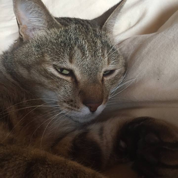 Eb8a8c26 2d11 4bf1 883a 2785abaf5e95