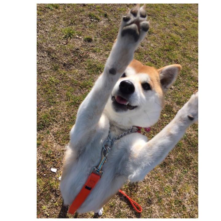 Eb8bc941 1ae0 4630 8985 074f73701ca4