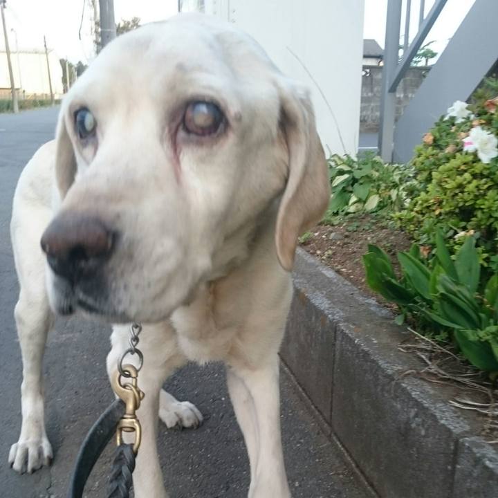 Eb8cb36b e8fa 4fd4 a497 2edef6385c37