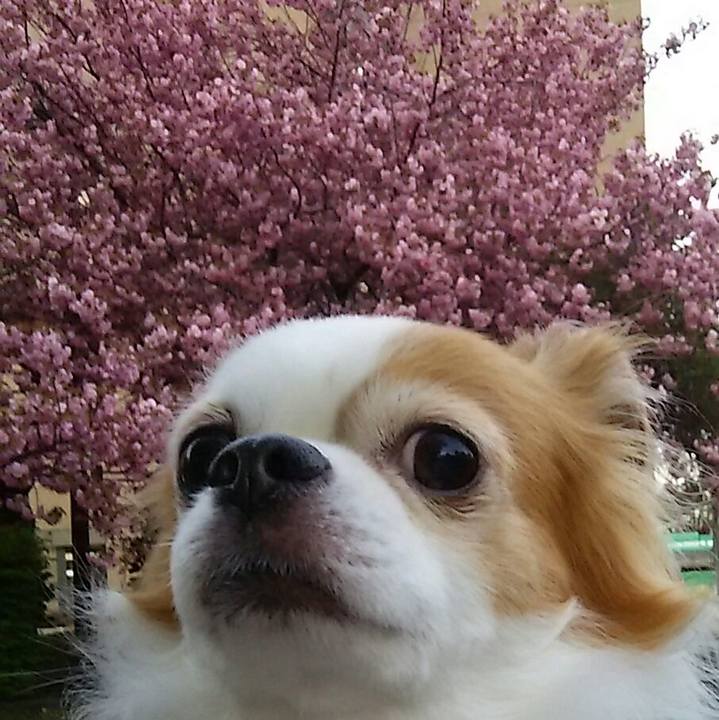 Eb8cfa98 210c 4bc6 be7f d91519523076