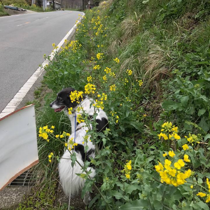 Eb8d030b 38f2 49d9 9f31 7aa21e41b41a