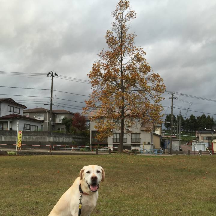 Eb8d0695 0cb8 42d5 b0f5 e16a8f73e5bb