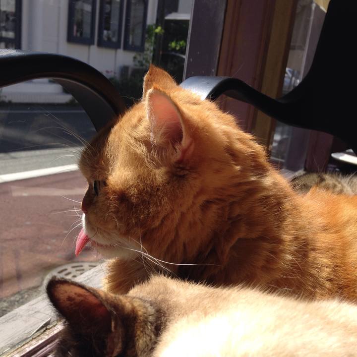 Eb8d2329 76cb 4714 8e84 498e321228d3