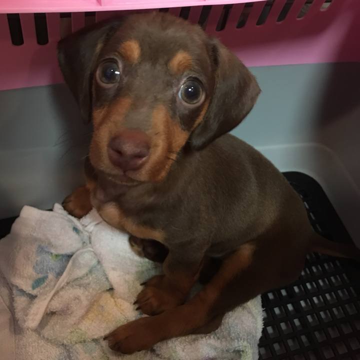 Eb8d2c43 145f 426b b4ab 9dbcbf936aac