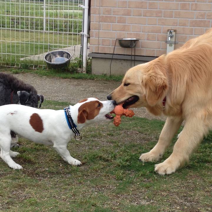 Eb8d50a5 5714 4e2b b6c2 2f77a809887d