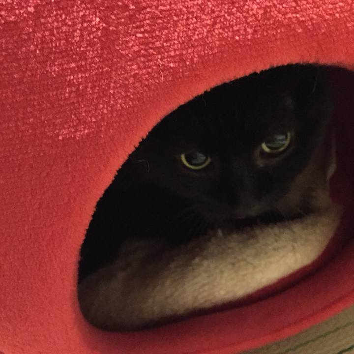 Eb8d86c7 76cc 4869 983d ebcaa43b85d9