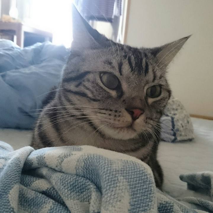 Eb8f27c5 46c1 4d6b abed 37bcbaf033d3