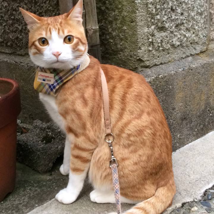 Eb8f4468 1a6f 417d 8a37 f28727191718