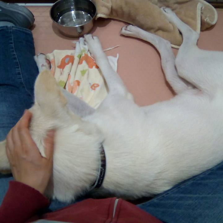 Eb8f5cbc 3667 44ba aaac 5f51c4c63ce6