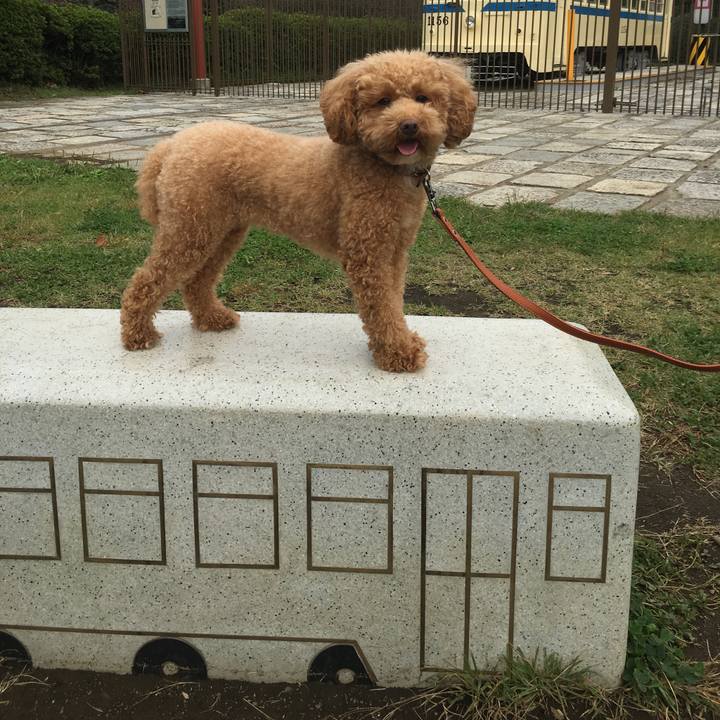 Eb8f7c42 d226 4d7d 9bd2 740bce120828