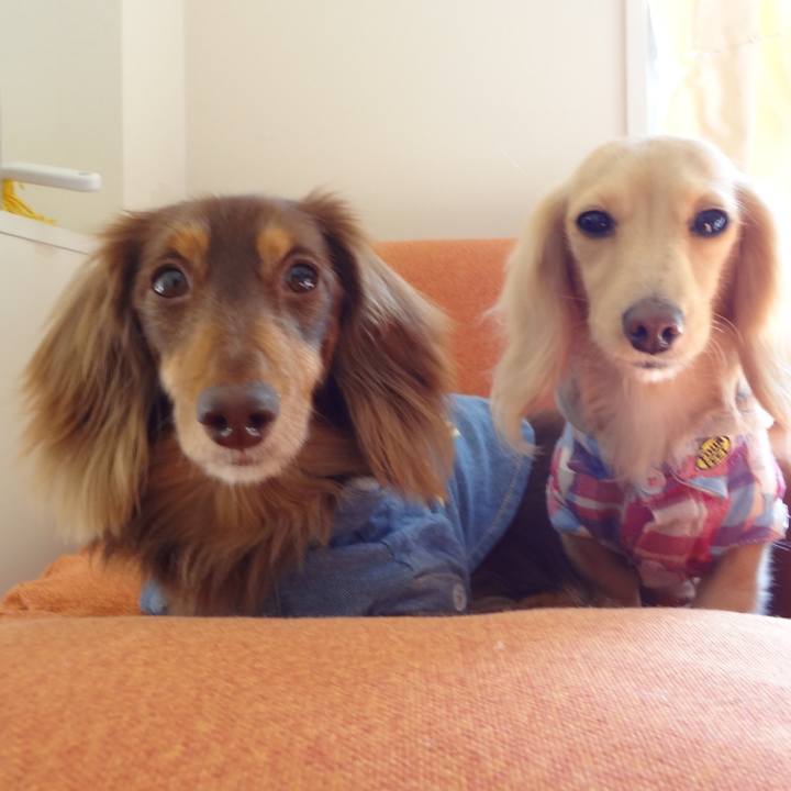 Eb8fb1e2 fd4d 49da bb72 50d07a6bf462