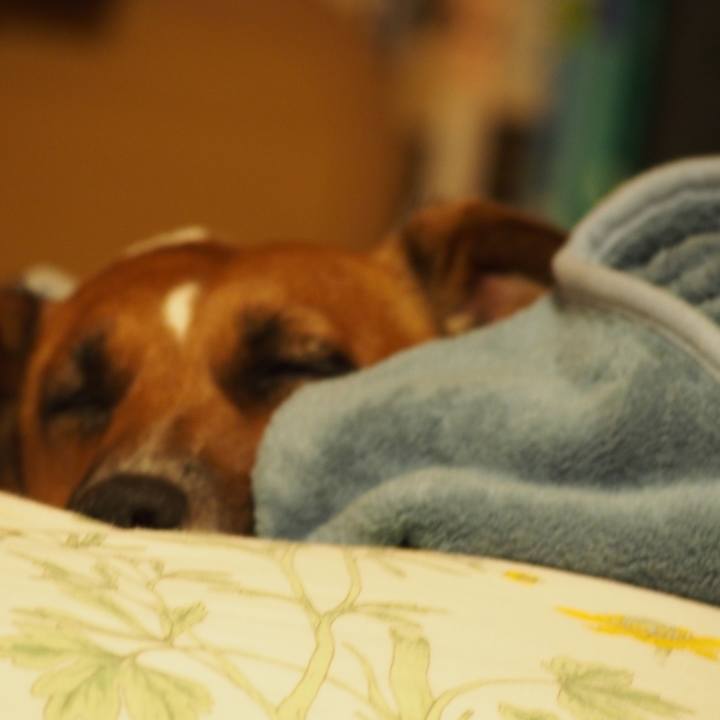 Eb8fdaa4 aae5 493a a97c 9abbfa4f550b