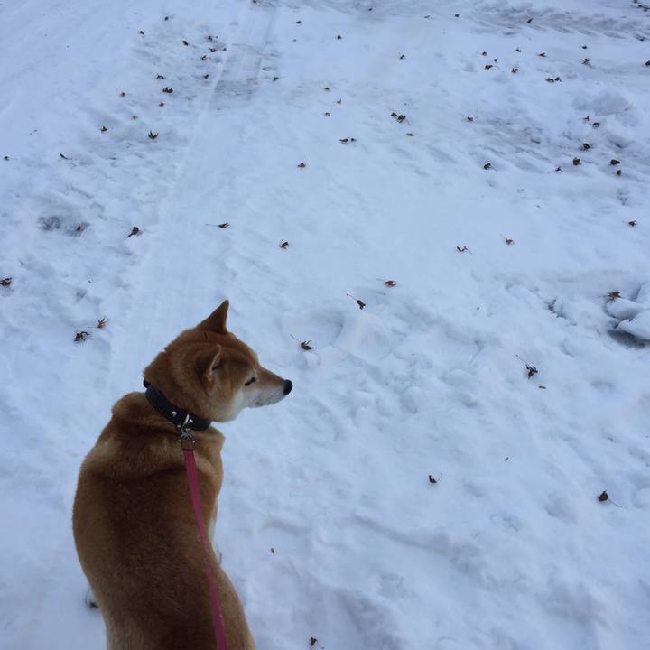 Eb8fe9b2 6744 4a55 b55d 84e1d4ff6584