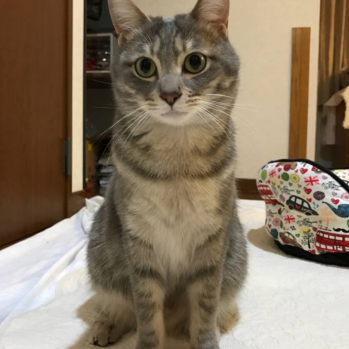 Eb9056e1 1ead 4080 8e48 efda098e5ea5