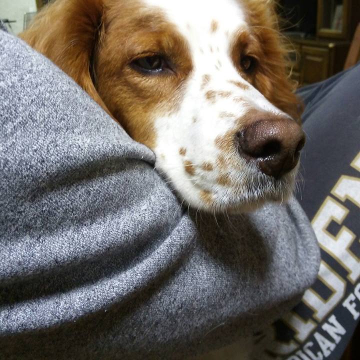 Eb90fcc8 a6b2 4a36 9fd8 017d913f670c