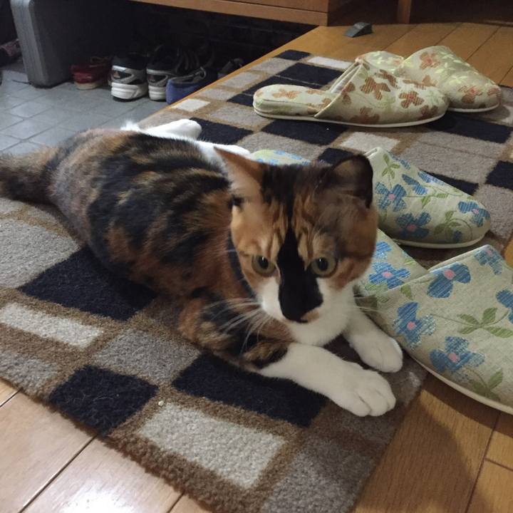 Eb916a3d a82f 48a4 a341 d1e805ca93f7