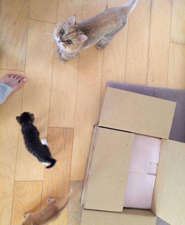 Eb917811 058f 46a2 b497 b603e687165b