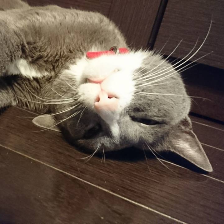 Eb924ae8 4a2b 4828 9e90 bed337a3688c