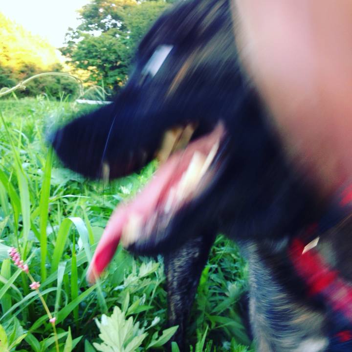 Eb927e82 aa94 4dd3 af95 c398c86c0507