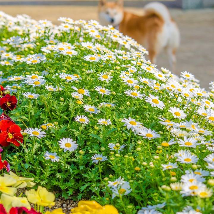 Eb932fd1 b813 422d a9be 4be83f847e56