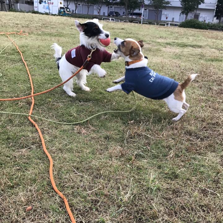 Eb9336e6 5851 4a01 91ea 0b5718959fdf