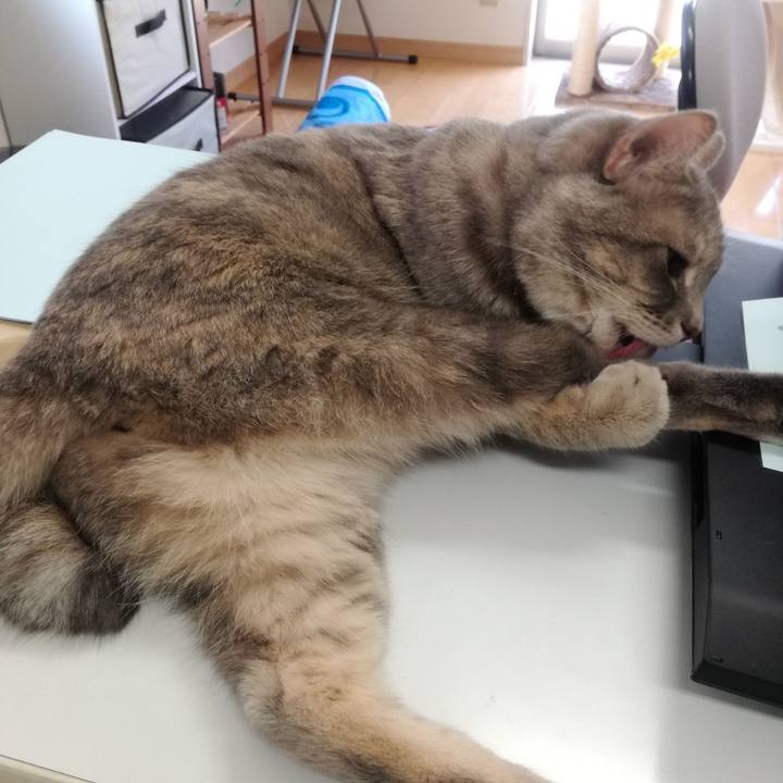 Eb951065 46e0 4b87 ae28 2933b1362c1b