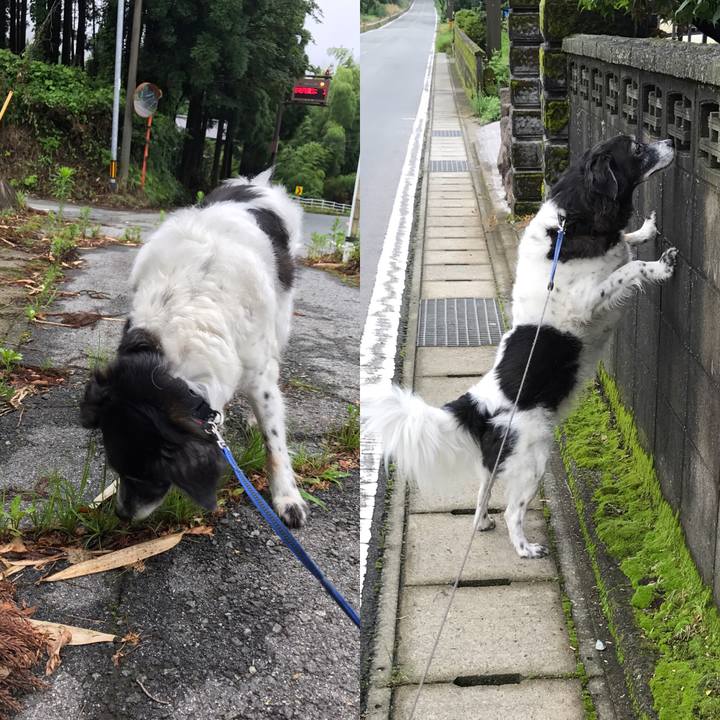 Eb95b1a4 48c8 45a1 8c4e d7b3e6d38607