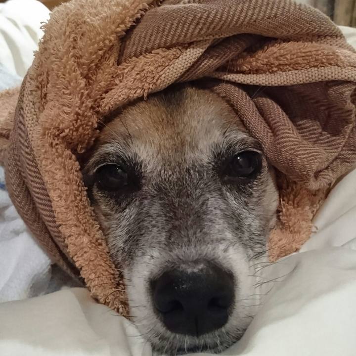 Eb961b7d 5266 40ea 8cd3 15f544fdc9ed