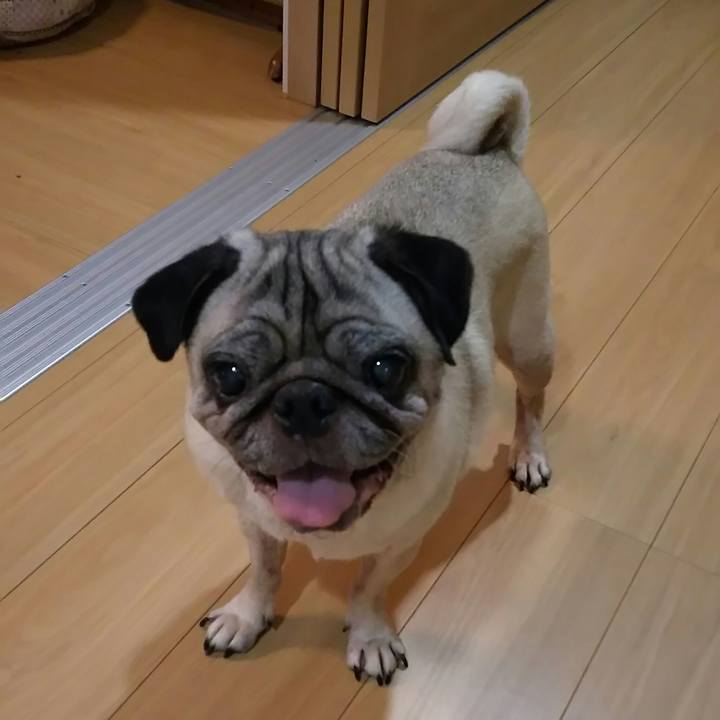 Eb963aec ebab 4482 b5f7 083e654f139c