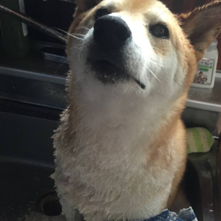 Eb975455 6f49 4467 8ca9 ff38787ae723