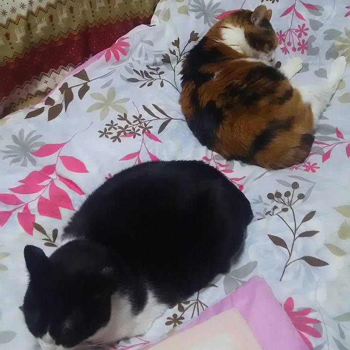 Eb9775cc 699d 48aa 935b 6a7577146e33